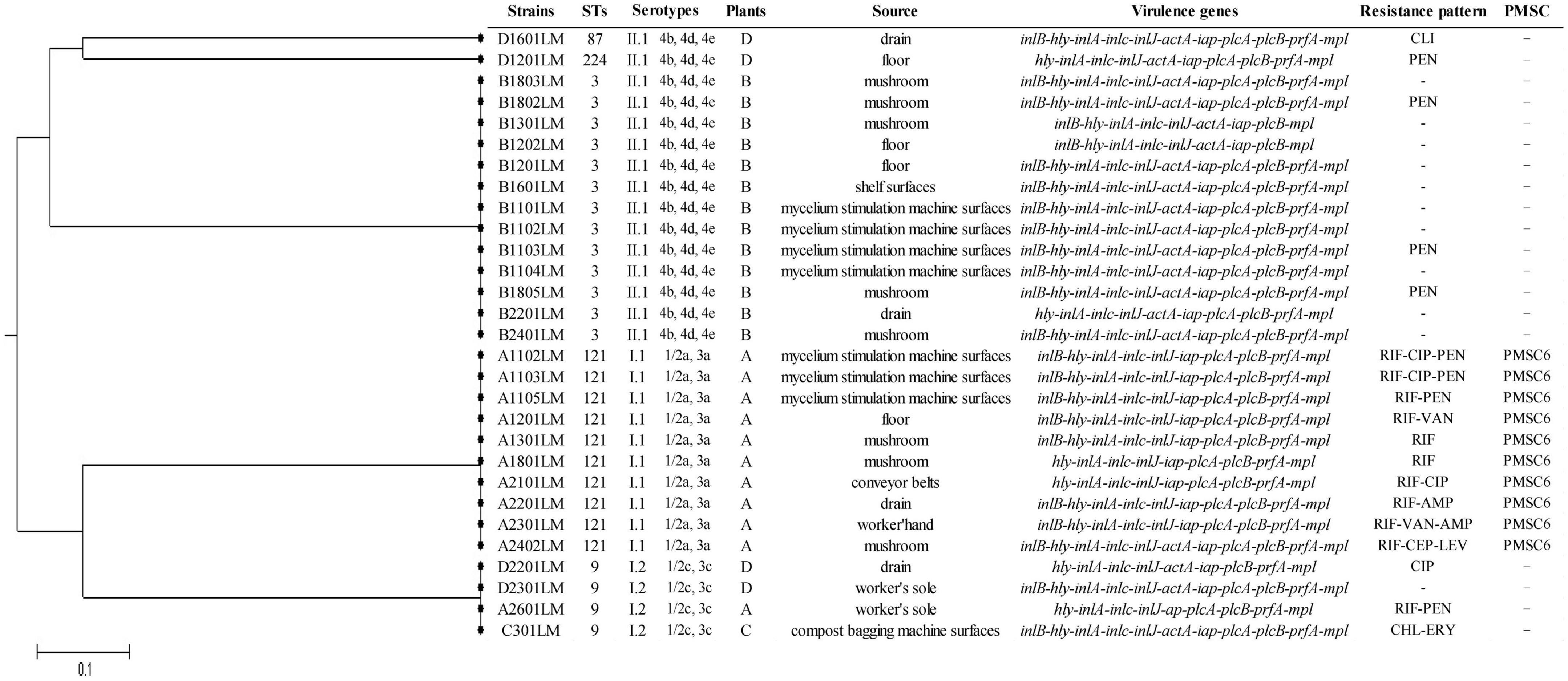 Prevalence and contamination patterns of Listeria monocytogenes in Pleurotus eryngii (king oyster mushroom) production plants